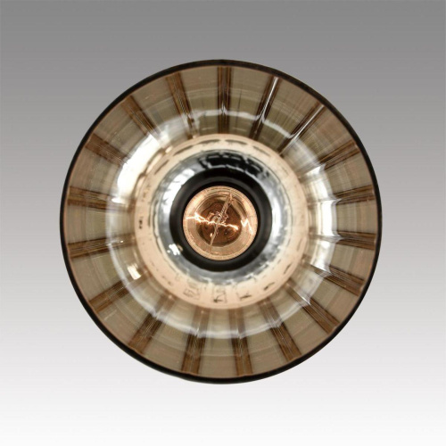 Подвесной светильник Lumion Moderni Lorenzo 8065/1A фото 8