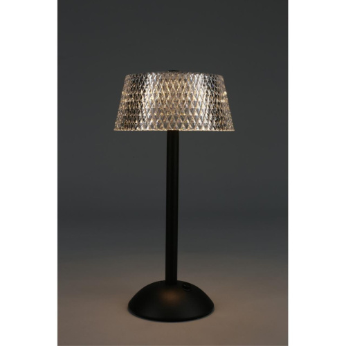 Настольная лампа OML-40104-01 фото 6