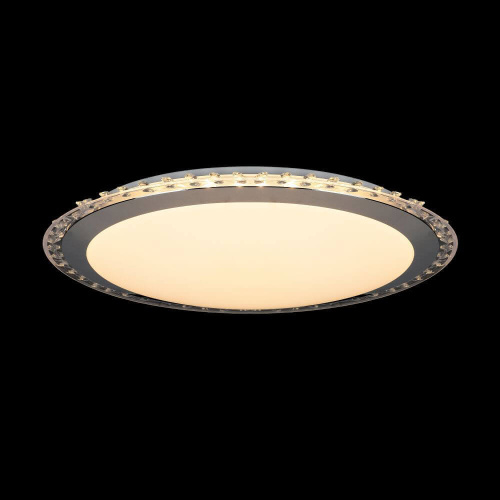 Потолочный светодиодный светильник Freya Glory FR6441-CL-30-W фото 2