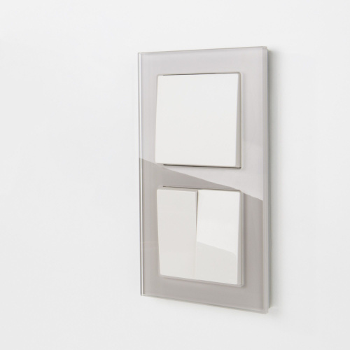 Рамка из стекла на 2 поста Favorit дымчатый W0021117 фото 4