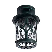 Уличный потолочный светильник Arte Lamp PERSIA A1453PF-1BG