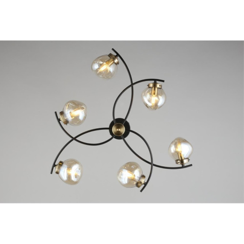 Люстра потолочная OML-95307-06 фото 4 Люстра потолочная OML-95307-06 фото 4