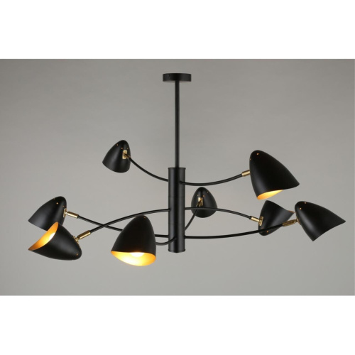 Люстра потолочная OML-29707-08 фото 8 Люстра потолочная OML-29707-08 фото 8