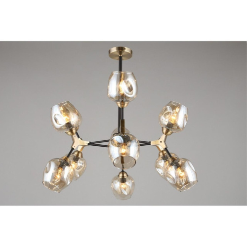 Люстра потолочная OML-93407-12 фото 6 Люстра потолочная OML-93407-12 фото 6