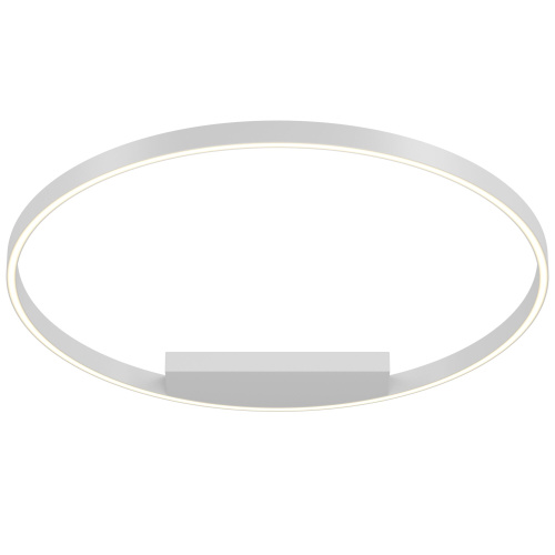 Потолочный светильник Maytoni MOD058CL-L50W4K фото 3