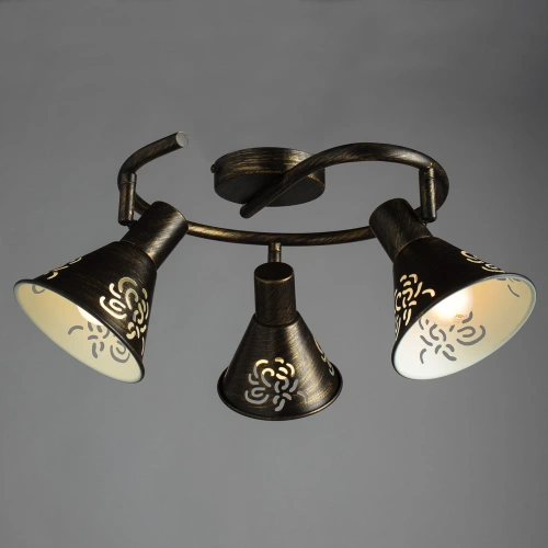 Спот Arte Lamp CONO A5218PL-3BR фото 2 Спот Arte Lamp CONO A5218PL-3BR фото 2