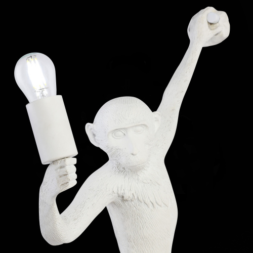 SLE115111-01 Светильник настенный Белый E27 1*60W TENATO фото 8