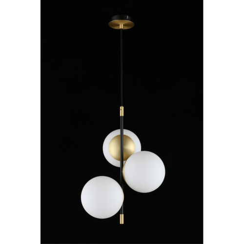 Светильник подвесной APL.313.06.03 фото 9