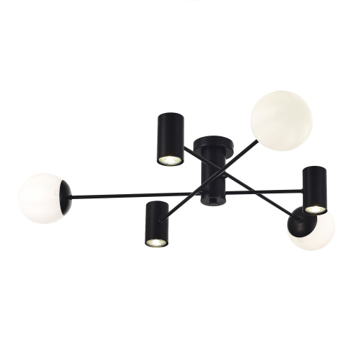 SLE1105-402-06 Светильник потолочный Черный/Белый GU10+E27 3+3*5+60W RAITO фото 4