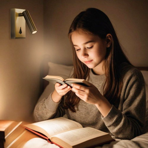 Citilux Декарт CL704353 LED Светильник поворотный с выключателем Бронза фото 16