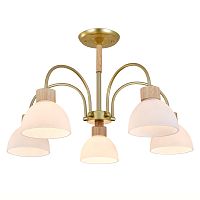 Светильник на штанге 150005/5R E27*60W Gold/Wood