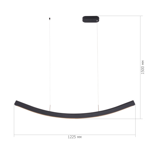 SL6232.403.01 Светильник подвесной ST-Luce Черный/Черный LED 1*20W 4000K HARMONY фото 2