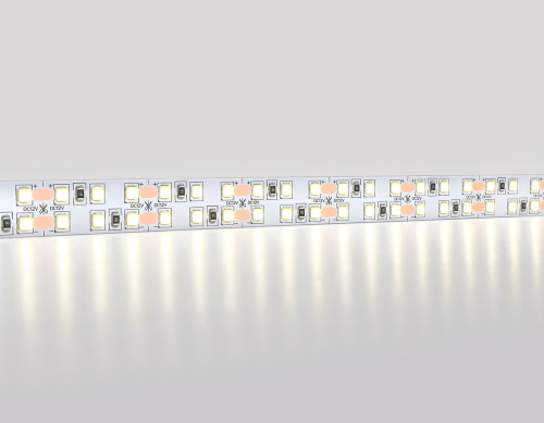 Светодиодная лента двухрядная 12В 2835 240Led 19.2Вт/м 4500K IP20 5м фото 2