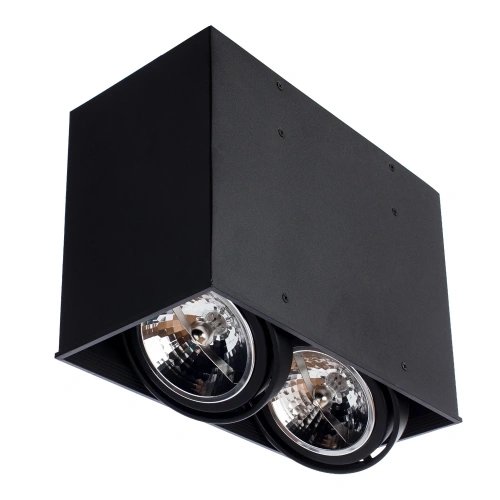 Точечный накладной светильник Arte Lamp CARDANI GRANDE A5936PL-2BK фото 3 Точечный накладной светильник Arte Lamp CARDANI GRANDE A5936PL-2BK фото 3