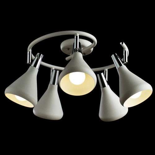 Спот Arte Lamp CICLONE A9155PL-5WH фото 2 Спот Arte Lamp CICLONE A9155PL-5WH фото 2