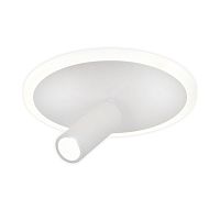 Настенно-потолочный свет Escada 20046SMA/01 LED 20W 4000K белый