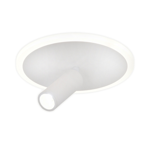 Настенно-потолочный свет Escada 20046SMA/01 LED 20W 4000K белый