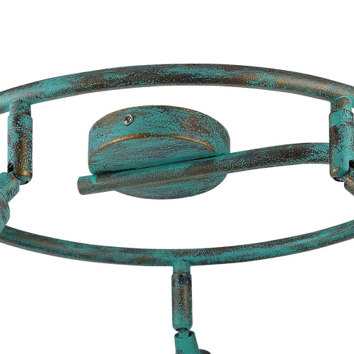 Спот Arte Lamp CAMPANA A9557PL-5BG фото 4