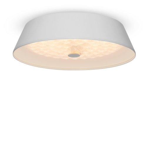 Потолочный светильник Freya FR10013CL-L24W фото 9