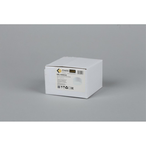 Светильник встраиваемый-накладной OML-100909-06 фото 2