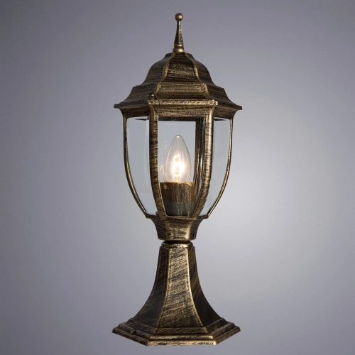 Ландшафтный светильник Arte Lamp PEGASUS A3151FN-1BN фото 2 Ландшафтный светильник Arte Lamp PEGASUS A3151FN-1BN фото 2