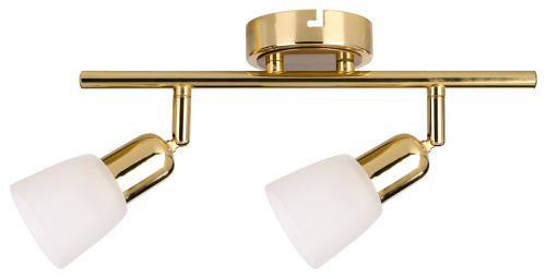Спот Escada 5039/2PA E14*40W Gold/White Спот Escada 5039/2PA E14*40W Gold/White