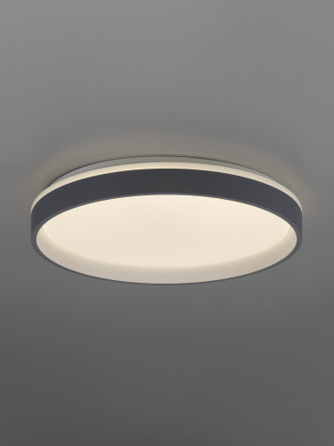 Citilux ENZO CL753453G LED RGB Светильник с пультом Серый + Белый фото 3 Citilux ENZO CL753453G LED RGB Светильник с пультом Серый + Белый фото 3