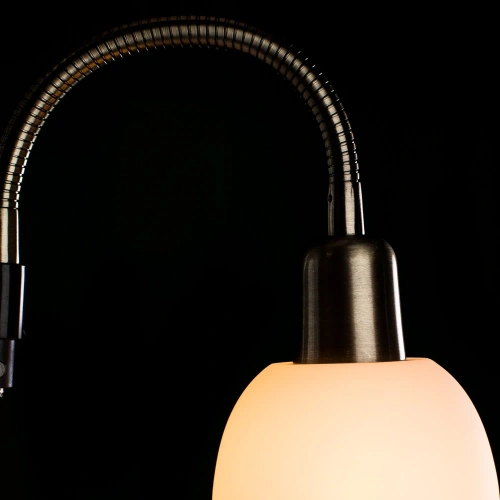 Торшер Arte Lamp DUETTO A9569PN-2AB фото 3 Торшер Arte Lamp DUETTO A9569PN-2AB фото 3