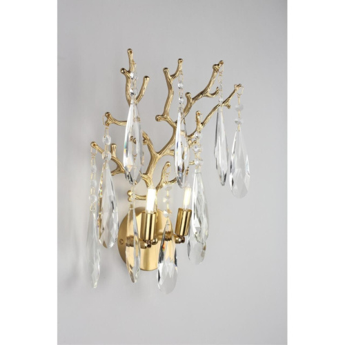 Светильник настенный (Бра) OML-52901-02 фото 4 Светильник настенный (Бра) OML-52901-02 фото 4