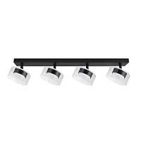 Спот Arte Lamp ALIUS A8042PL-4BK