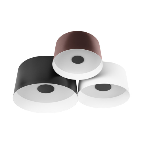 10360/3 Потолочный светильник LOFT IT Duo 10360/3 Потолочный светильник LOFT IT Duo