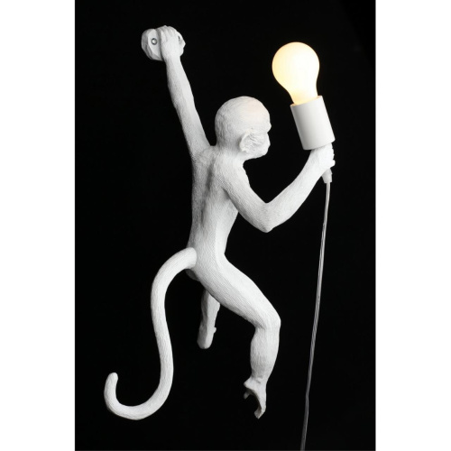 Светильник настенный (Бра) APL.309.01.01 фото 4