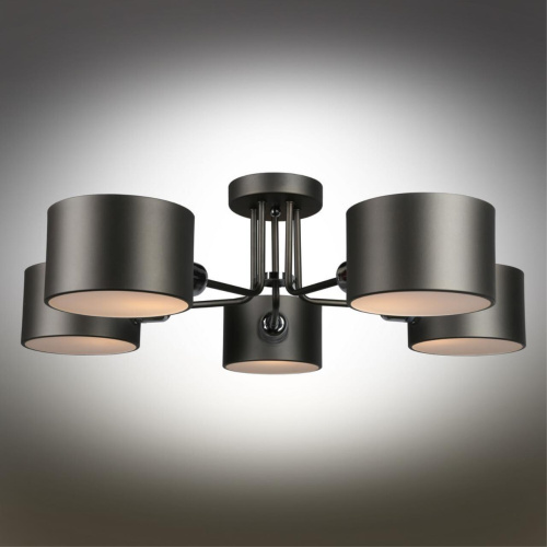 Люстра потолочная OML-54507-05 фото 3