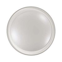 2049/DL PALE SN 000 Светильник пластик/белый LED 48Вт 3000-6300K D450 IP43 пульт ДУ KABRIO