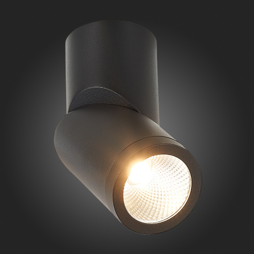 ST650.442.10 Светильник потолочный Черный LED 1*10W 4000K 800Lm Ra>90 38° IP44 D62xH151 165-265V Накладные светильники фото 6