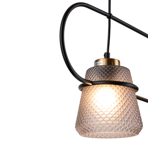 Подвесной светильник 11016/2P Black фото 3