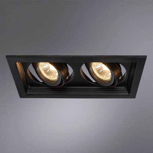 Точечный встраиваемый светильник Arte Lamp CANIS A6661PL-2BK фото 2