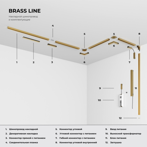 Brass Line Трековый светильник 10W 4000K латунь 85525/01 фото 2