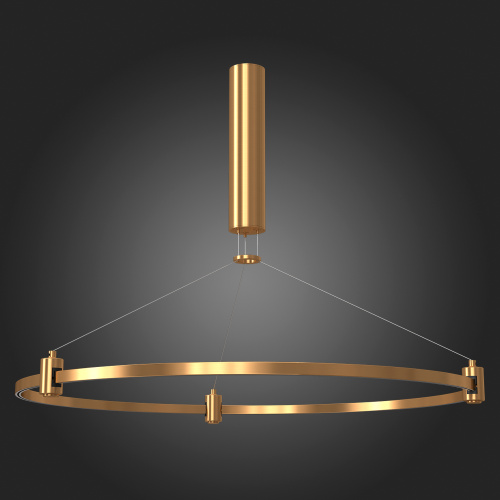 ST025.203.00 Шинопровод-кольцо FARM с подвесами и основанием под блок питания ST-Luce Золотистый FARM фото 3