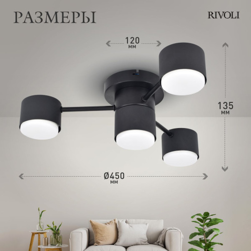 Потолочная люстра Rivoli Ruth 3190-304 Б0071293 фото 7 Потолочная люстра Rivoli Ruth 3190-304 Б0071293 фото 7