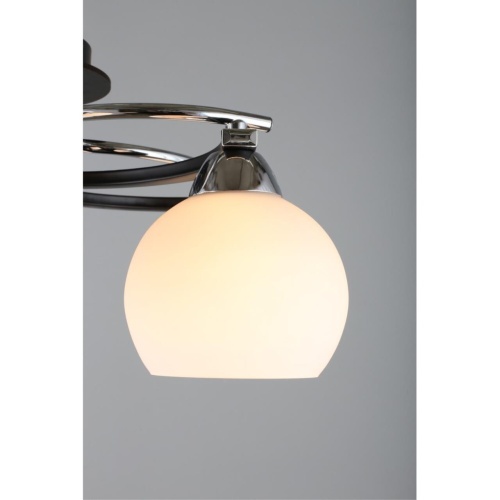 Люстра потолочная OML-25407-05 фото 6