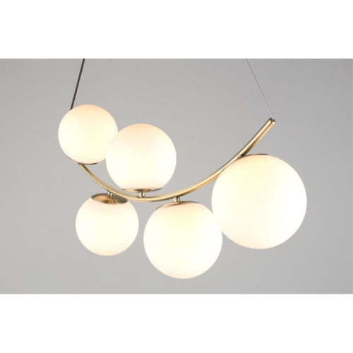 Люстра подвесная OML-94903-05 фото 6