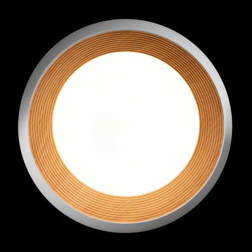 10255/500 White Потолочный светильник LOFT IT Folk фото 5