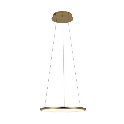 10014S Подвесной светильник LOFT IT Ring фото 2