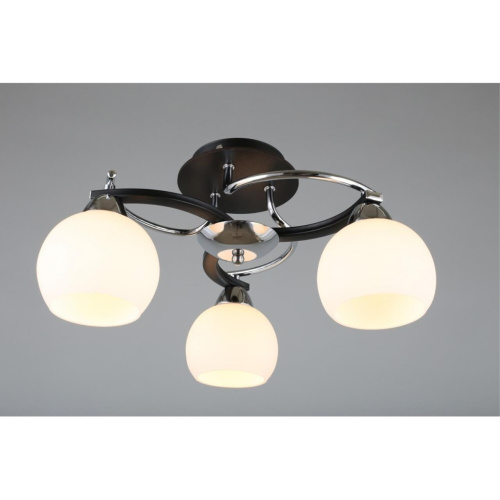 Люстра потолочная OML-25407-03 фото 4