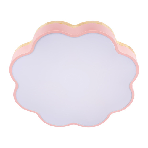 10225/36 Pink Потолочный светильник LOFT IT Axel фото 7