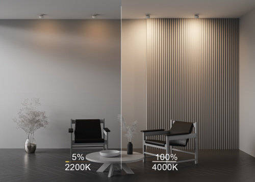 Встраиваемый светильник Technical DL024-12W-DTW-W фото 10