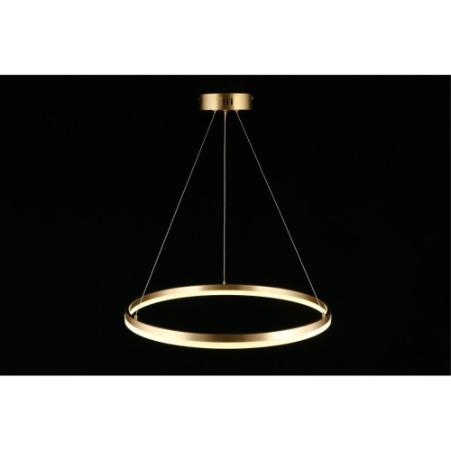 Люстра подвесная APL.049.13.40 фото 11