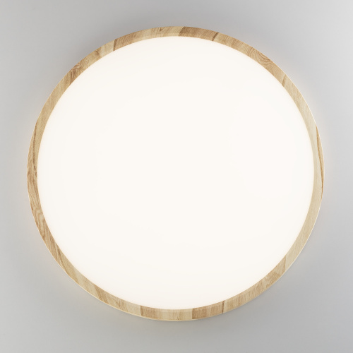 Citilux БейсикCL738322V LED Светильник накладной Клён фото 5 Citilux БейсикCL738322V LED Светильник накладной Клён фото 5