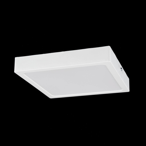 Citilux Галс CL55K22N Светильник накладной светодиодный фото 11 Citilux Галс CL55K22N Светильник накладной светодиодный фото 11